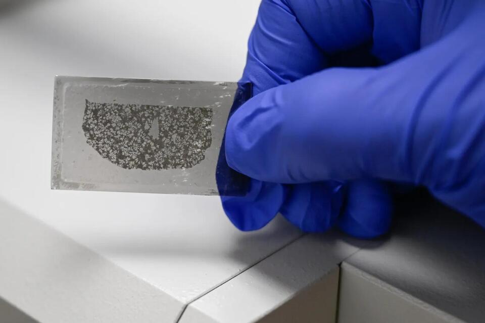 CU Boulder researchers uncover origins of rare meteorite from an ancient protoplanet