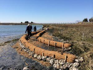 Living Shorelines Training Planned in September
