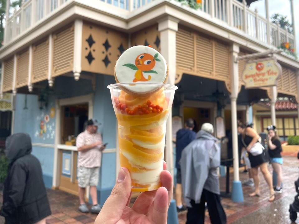 REVIEW: Orange Bird Sunshine Twist at Magic Kingdom - NewsBreak