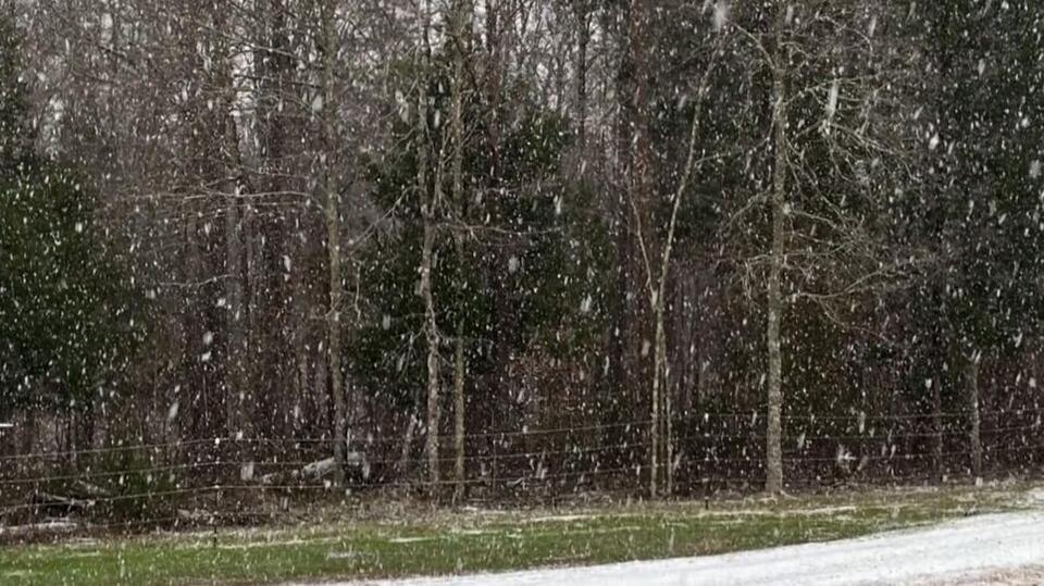 More mixed mess, less snow: How climate change is altering NC’s winter ...