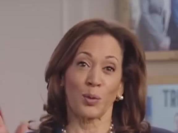 Vice President Kamala Harris has labeled former President Trump's VP