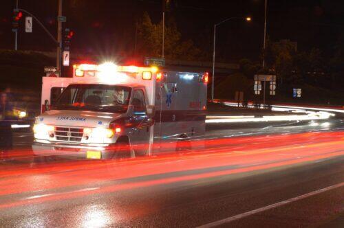 Man Seriously Injured After Falling Out of Tree Stand - NewsBreak