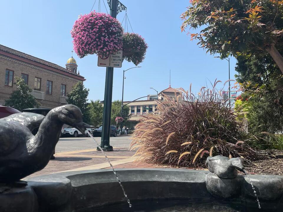 Farmers’ market, more fountains, grocery store among plans for new