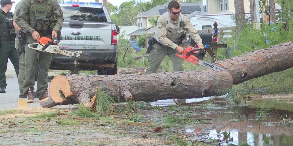 ISAIAS: Escambia, Santa Rosa storm cleanup assistance - NewsBreak