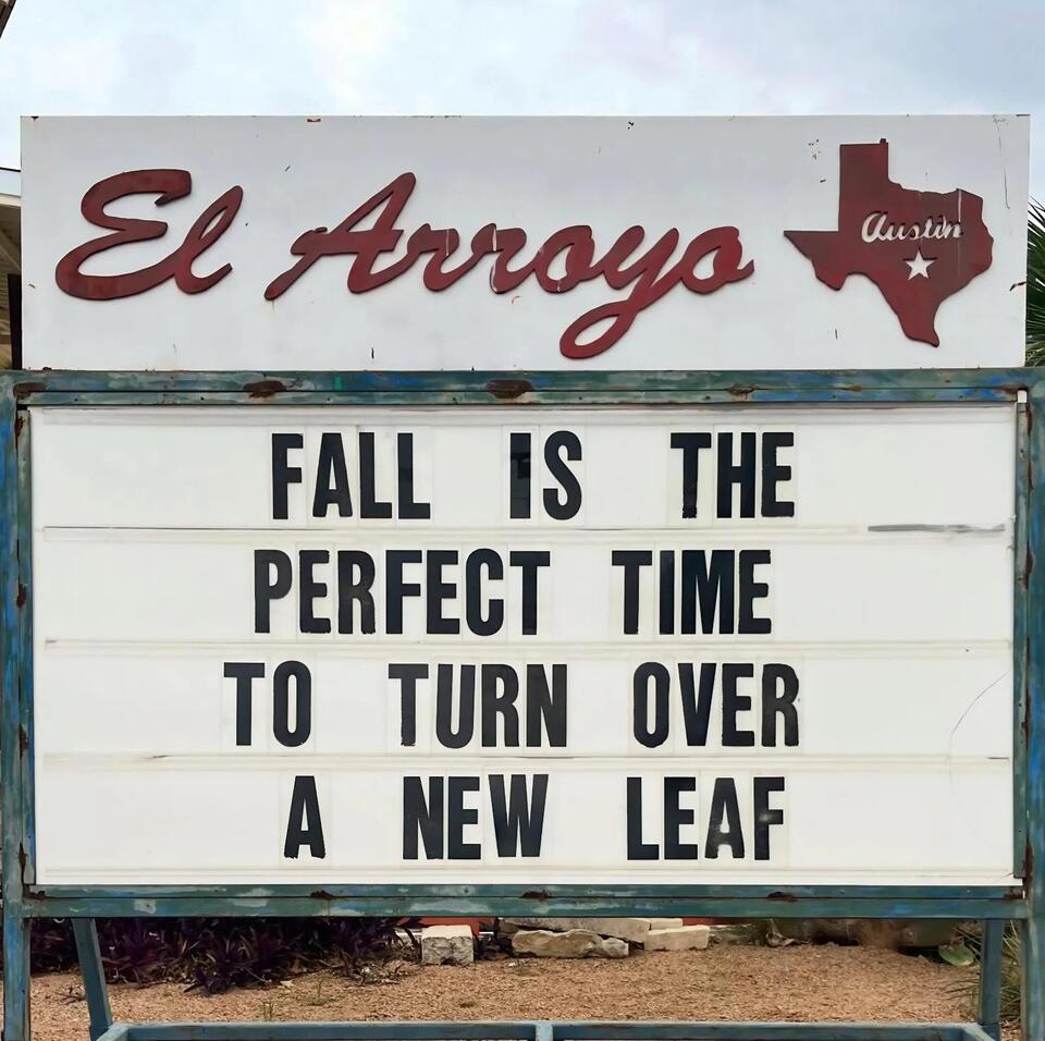 Our 50 Favorite Memes Around The Internet Today - NewsBreak