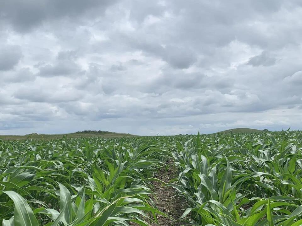 08jiHw_0xa2zEMg00?type=thumbnail_1600x12