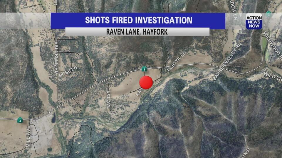 Hayfork shooting suspect turns himself in to Trinity County sheriff ...