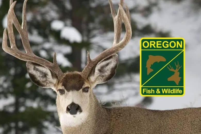 ODFW announces 2026 fishing and hunting fee increases alongside ...
