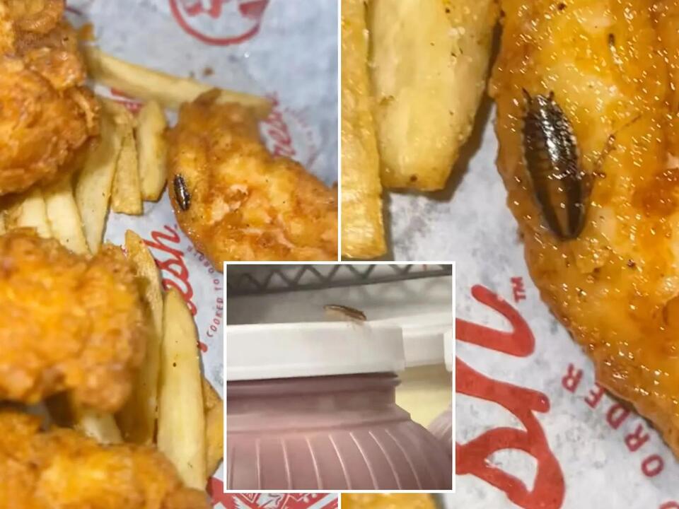 Viral post about bug in food leads to discovery of nearly 20 dead