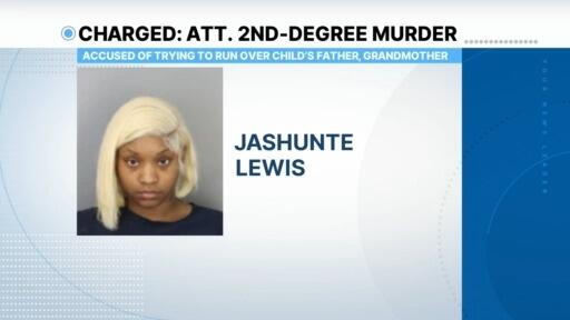 Memphis woman accused of trying to run over child’s father, grandmother ...