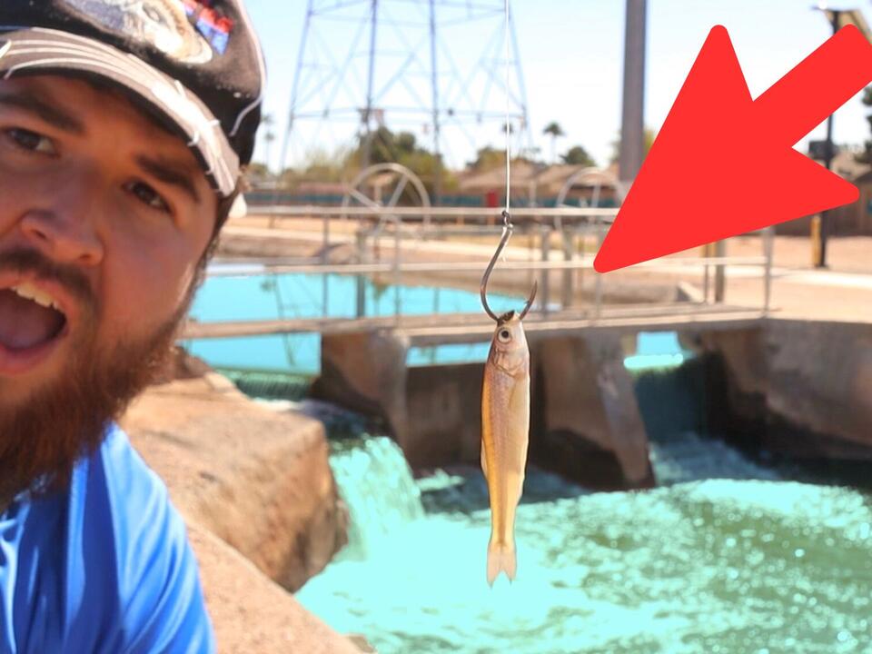 Fishing with Live Minnows in an Urban Arizona Canal