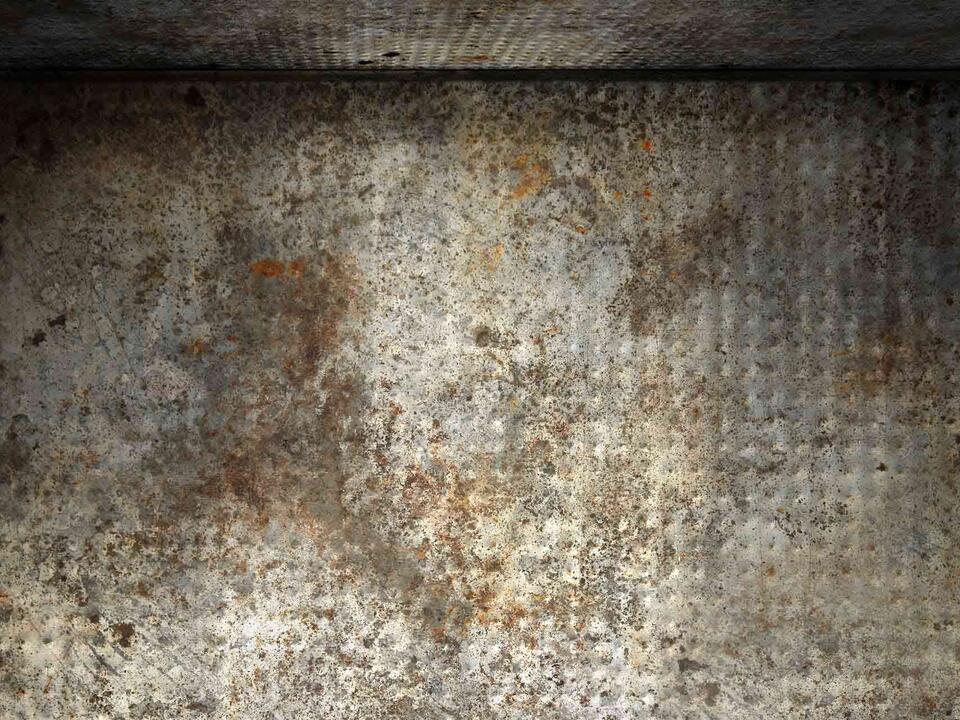 Billy Strings incites bluegrass fervor at Pine Knob Top Stories of