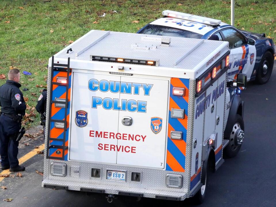 Woman killed by falling tree during Westchester storm identified as wife of Yankees executive