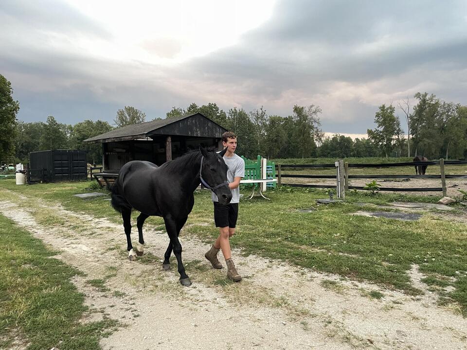 Ben's Ranch Foundation expands to reach more teens battling mental ...