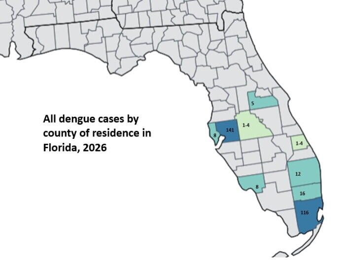 Dengue fever cases rise in Florida, with 3 new cases in Lee County and ...