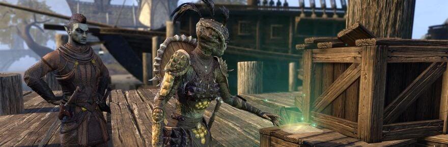 The Elder Scrolls Online looks forward to its next update at the end of September in its new survival guide