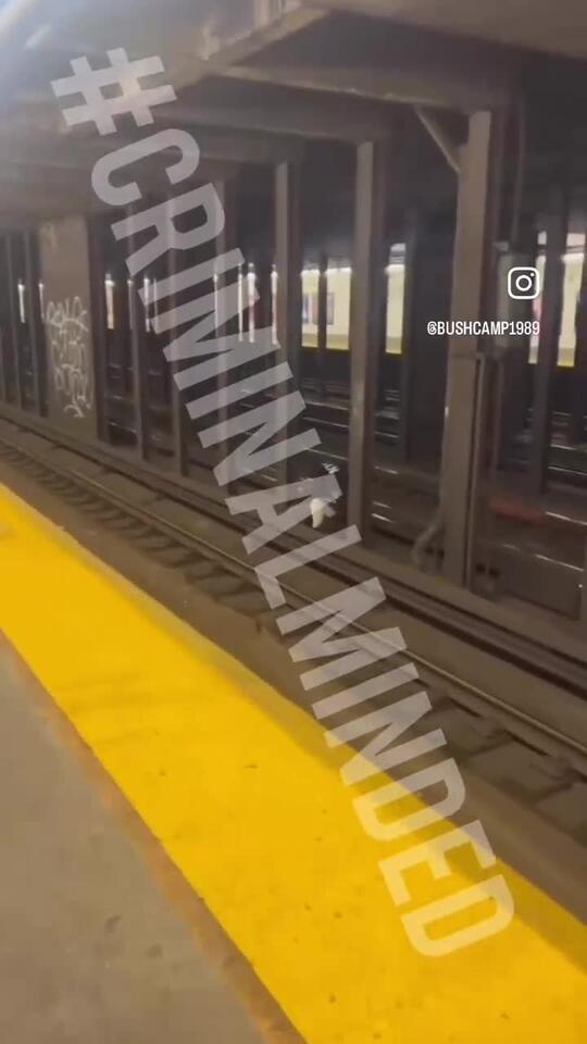 In a dramatic turn of events, NYPD officers apprehended a man who was