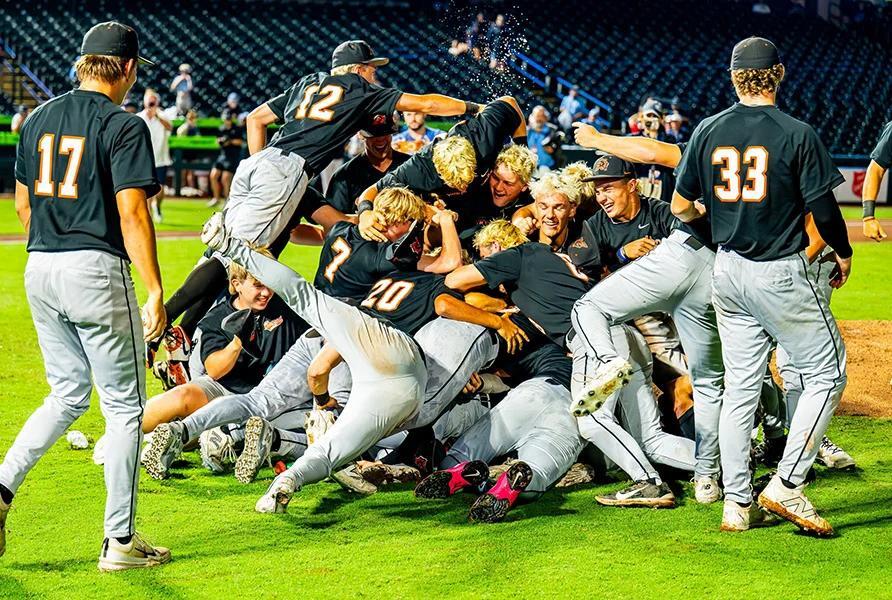 High school baseball: 2026 champions in every classification of every ...