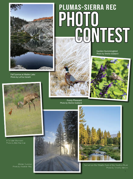 Deadline to Enter Plumas-Sierra Ruralite Photo Contest is This Friday