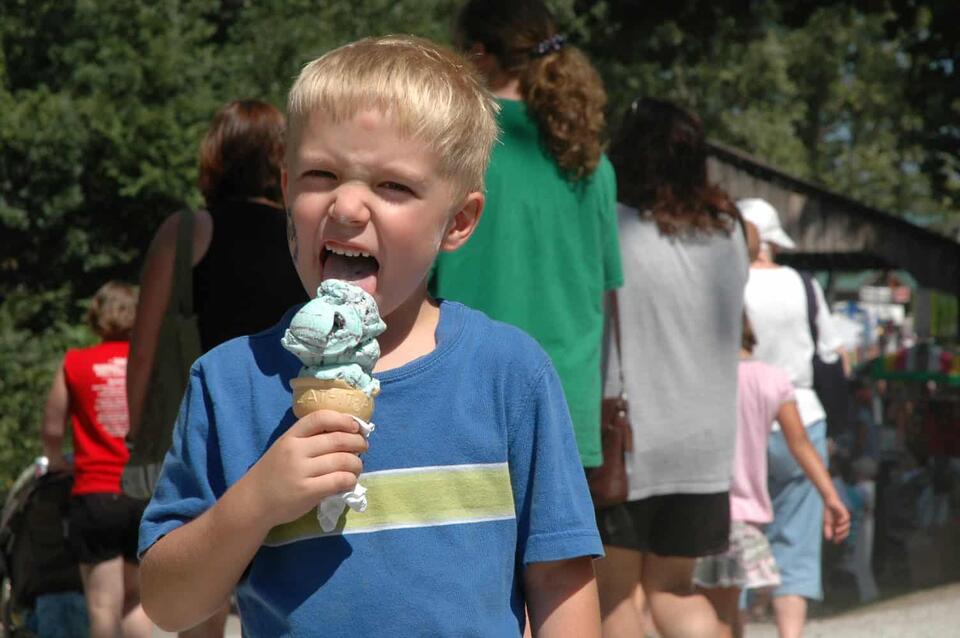 Marshall County Blueberry Festival