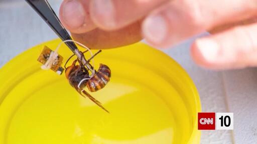 29+ Cnn 10 News Cast Background