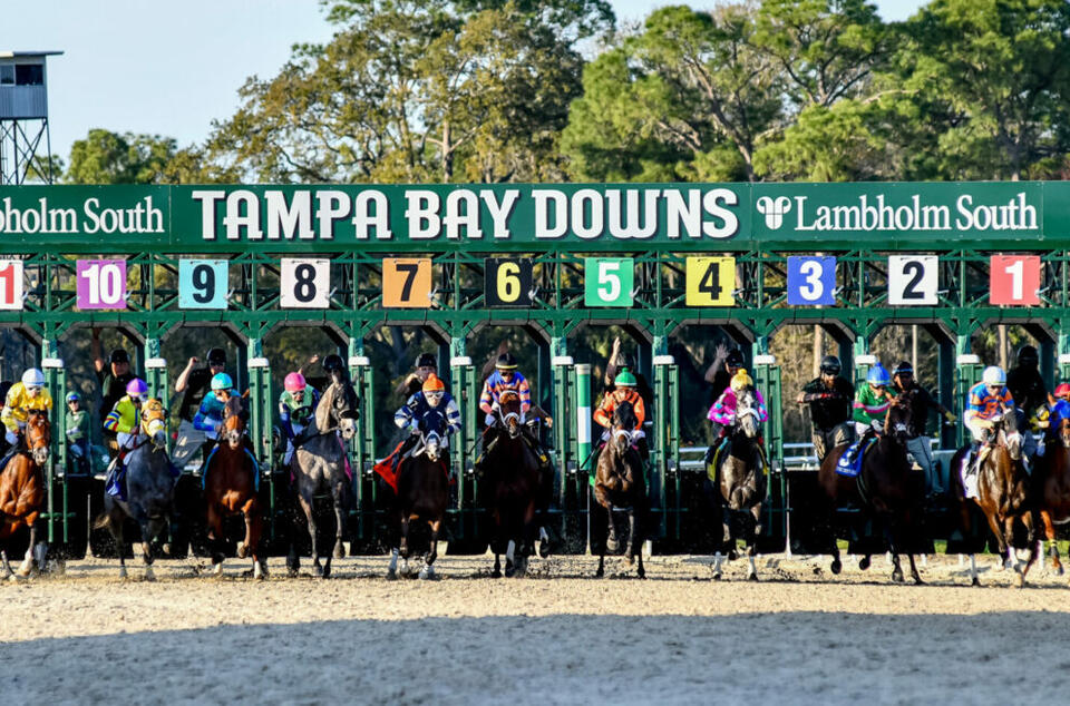 Road to the Derby Challenge Contests | Win FREE Cash in Tampa Bay Derby ...