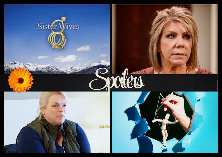 Sister Wives Tell-All Spoilers: Meri Discusses Ron, Janelle Denies Deal ...