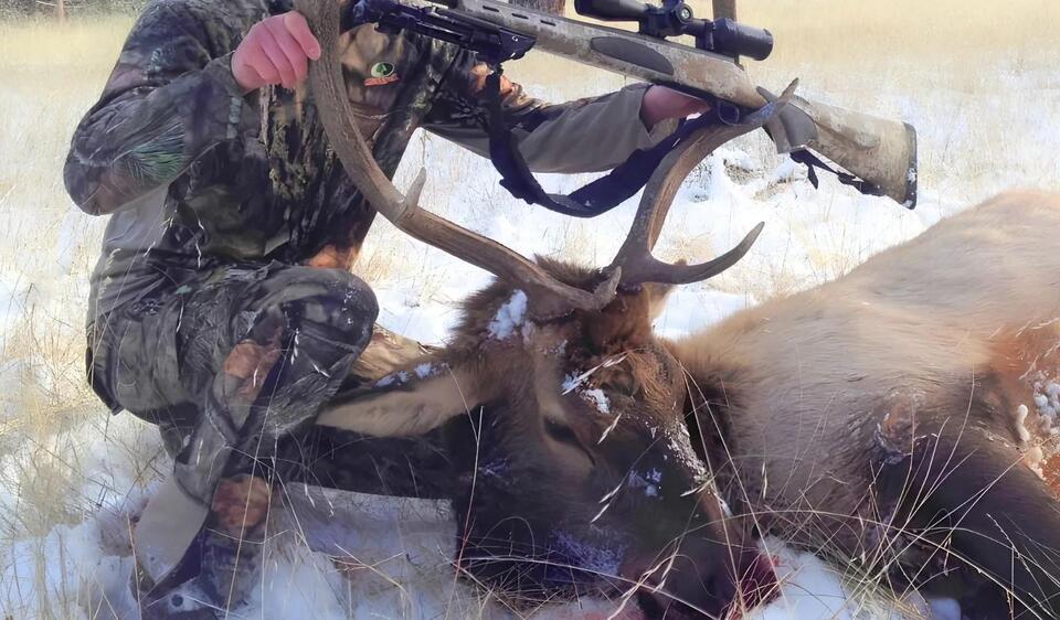 FWP: Reminder: New HD 101-50 bull elk permit area - NewsBreak