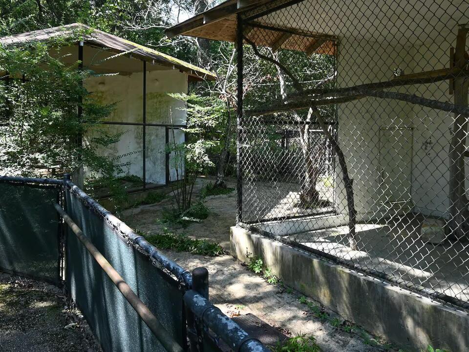 You can now buy a ticket at the gate at the Jackson Zoological Park