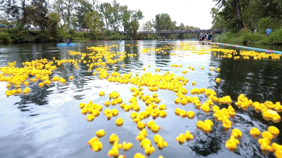 Rubber Ducks raise money for YMCA program - NewsBreak