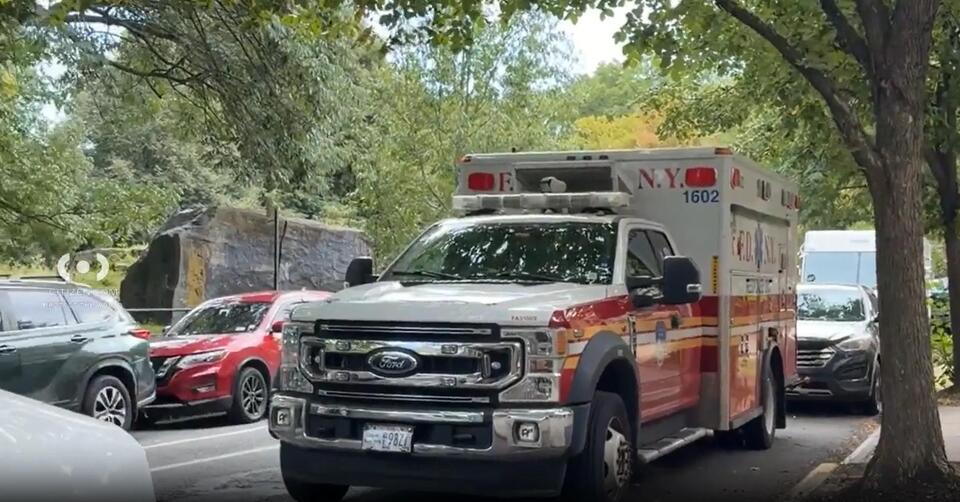 Assault News Image