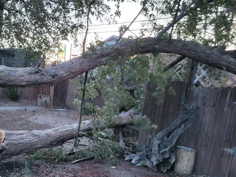 City of Colorado Springs provides update on wind damage