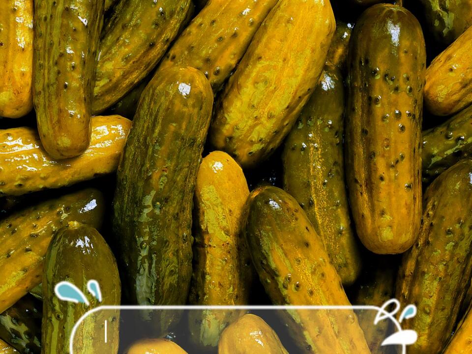 Strangest pickle law you've never heard of In Connecticut