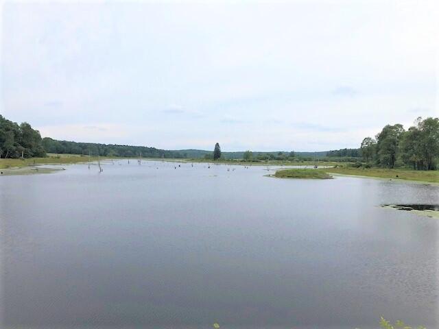 Buzzard Swamp for Hiking, Biking, and Fishing (Mon., 8/31/26)