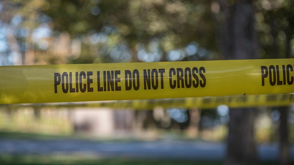 Man arrested for allegedly assaulting pregnant girlfriend and damaging ...