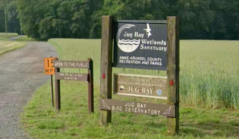 Anne Arundel Opens New Overnight Cabins At Jug Bay - NewsBreak