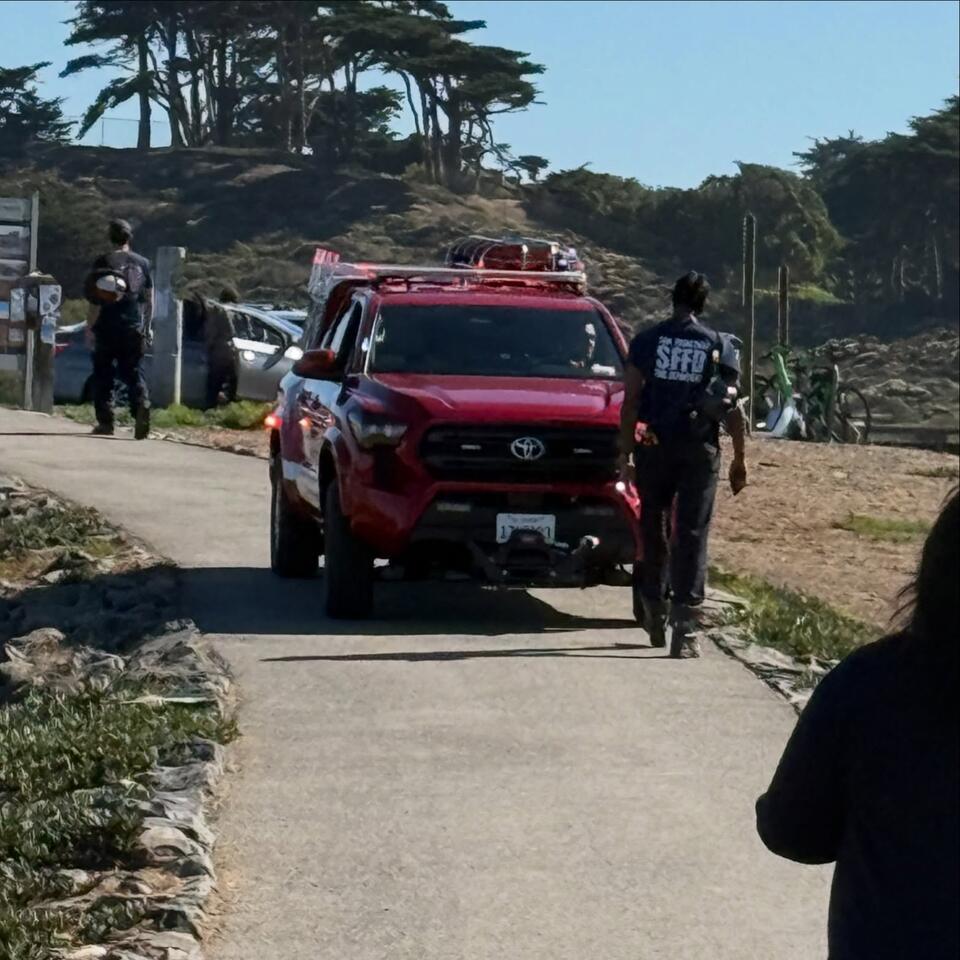 Dog and owner safe after fall at Fort Funston - NewsBreak