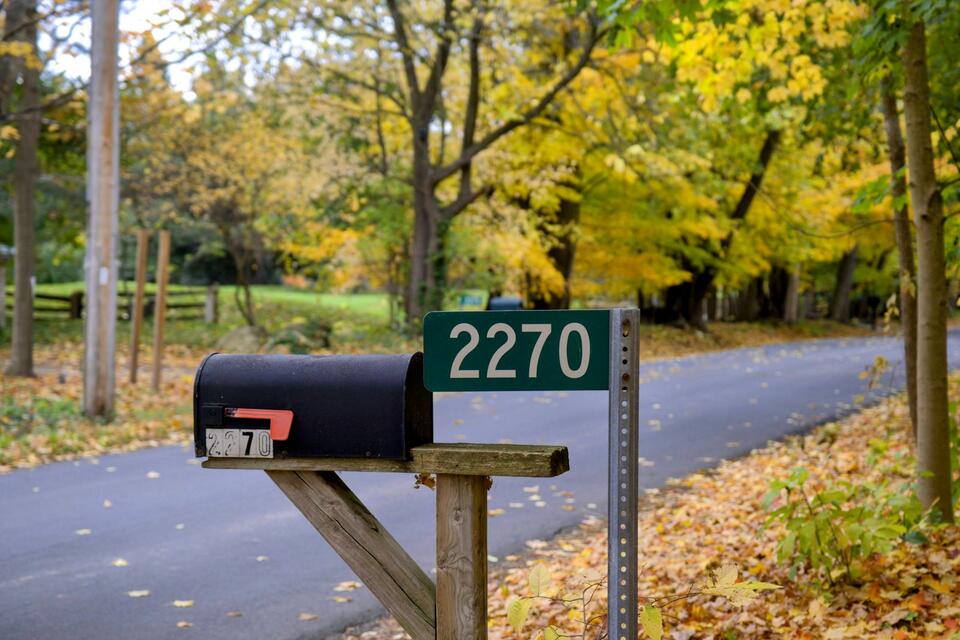 Neighbors Tie Yellow Ribbons to Trees and Mailboxes: Community Unites ...