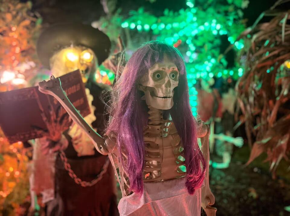 Clifton Dentist Vows To Expose Who Sparked 'Witch Hunt' As Halloween ...
