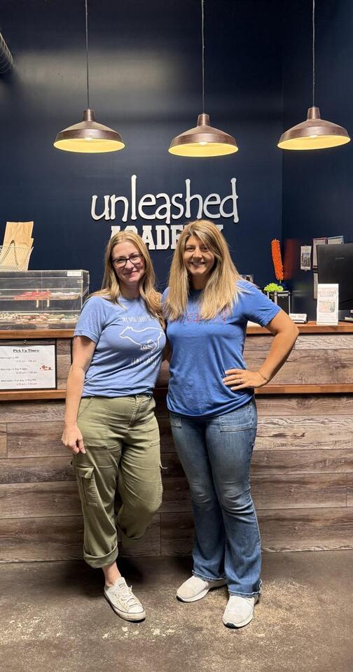 Unleashed dog daycare owners recall trying summer from kennel cough outbreak