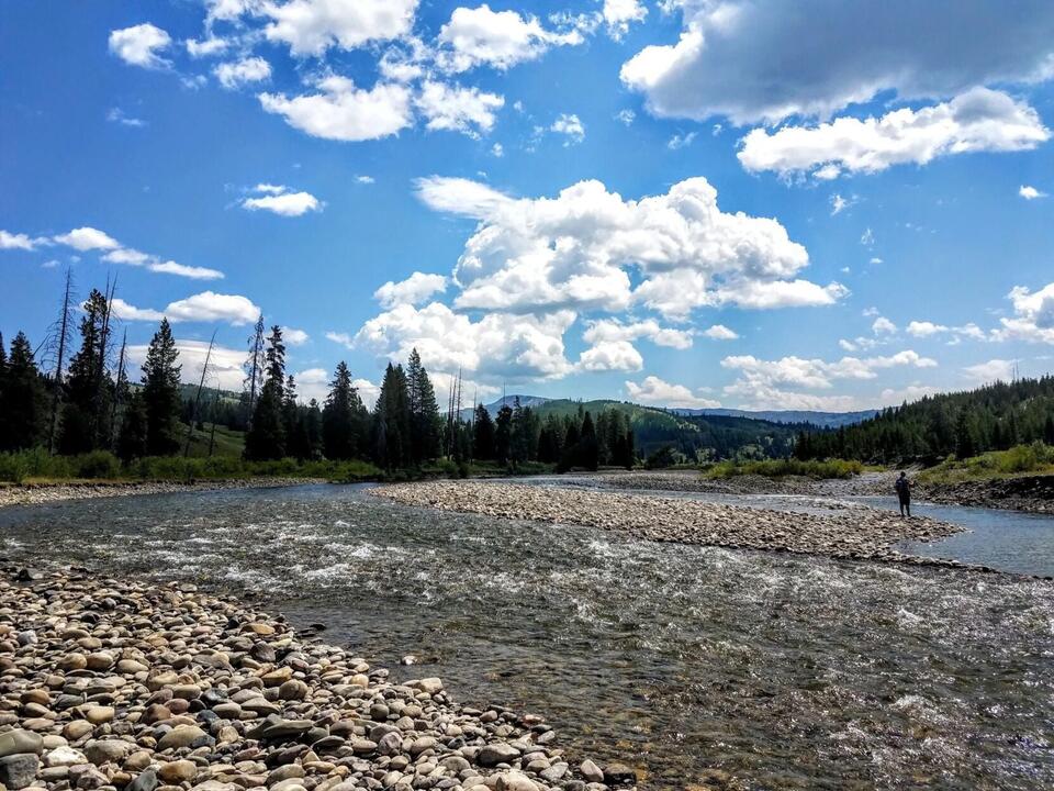 Feds hand over Yellowstone National Park water - NewsBreak