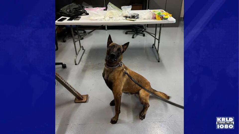 Traffic stop leads to big drug bust in Tarrant County - NewsBreak