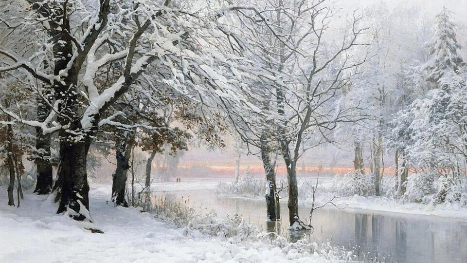 Can Trees Explode in Extreme Cold? Learn About the Exploding Trees ...