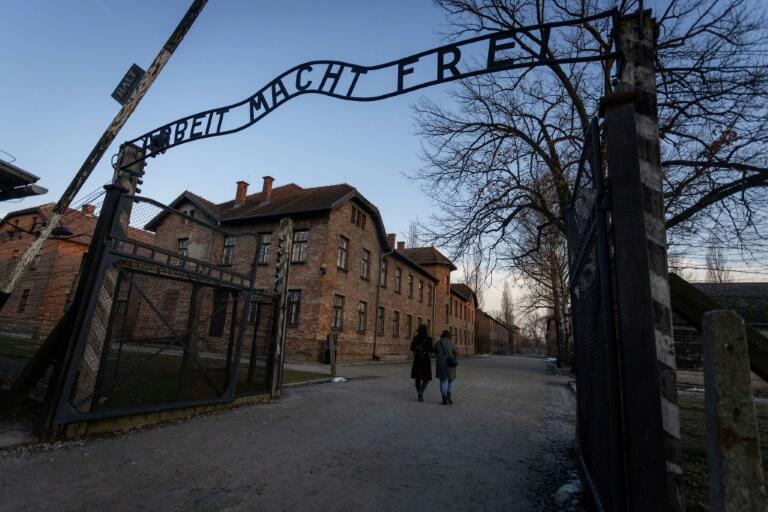 Israeli Student Arrested for Performing Nazi Salute at Auschwitz While ...