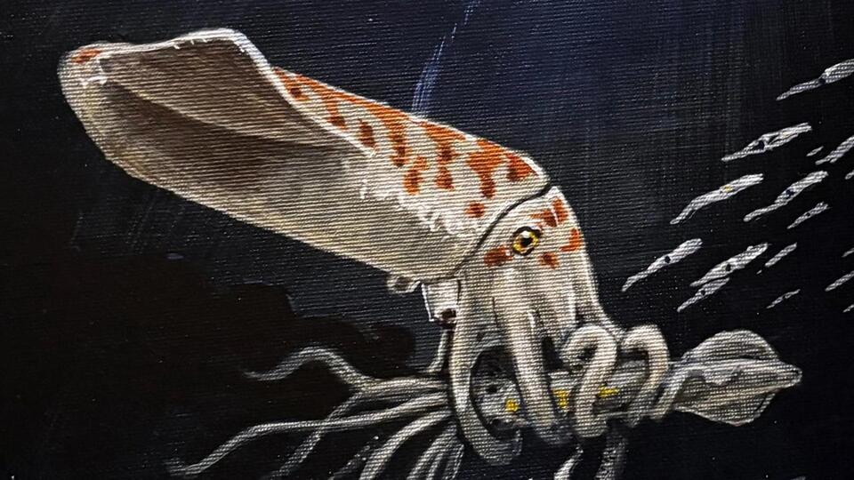Scientists Have Found 'One of The Chunkiest' Squid-Like Creatures From ...