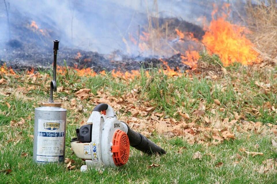 Learn how to conduct prescribed burns at MDC landowner workshop Nov. 11 ...