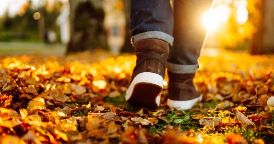 Reminder to join your colleagues for Walktober - NewsBreak
