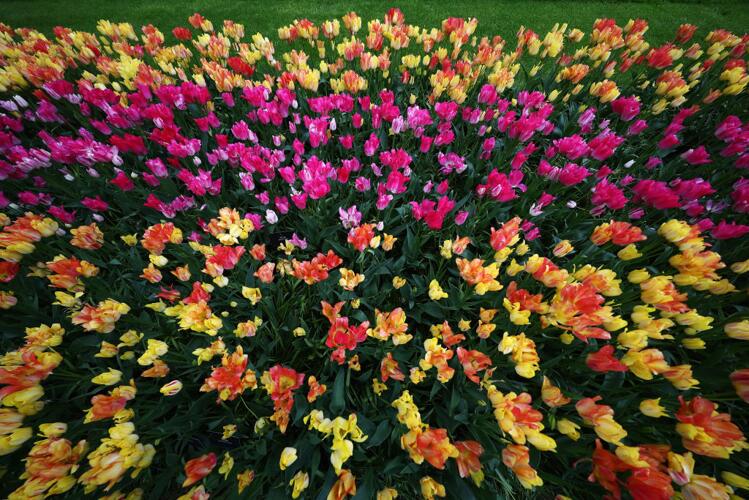 Tucson Daily Weather Forecast - NewsBreak