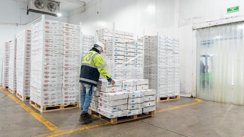 Cold storage trough in sight as vacancies hit 20-year high - NewsBreak
