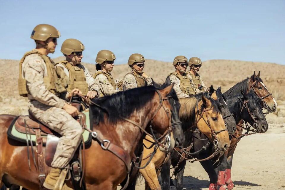 Operation Ardent Vanguard: Understanding the Military Mission Along the ...